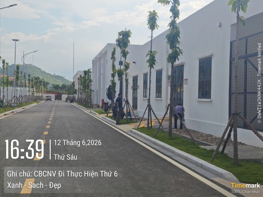 Phong trào “Ngày thứ sáu Xanh – Sạch – Đẹp” – ảnh 4