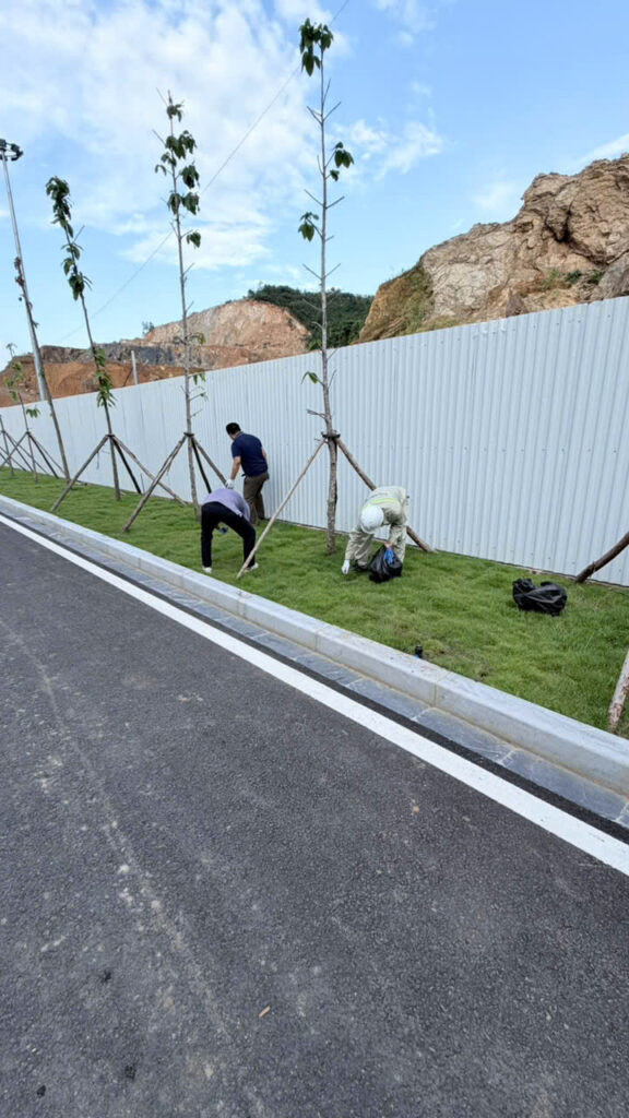 Phong trào “Ngày thứ sáu Xanh – Sạch – Đẹp” – ảnh 6