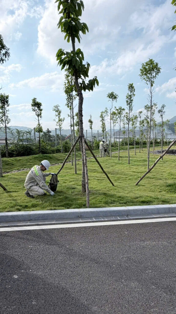 Phong trào “Ngày thứ sáu Xanh – Sạch – Đẹp” – ảnh 14