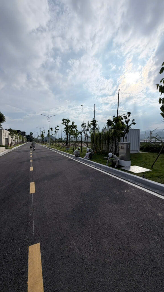 Phong trào “Ngày thứ sáu Xanh – Sạch – Đẹp” – ảnh 15