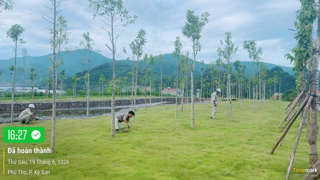Phong trào “Ngày thứ sáu Xanh – Sạch – Đẹp” – ảnh 16