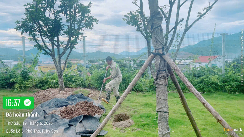 Phong trào “Ngày thứ sáu Xanh – Sạch – Đẹp” – ảnh 21
