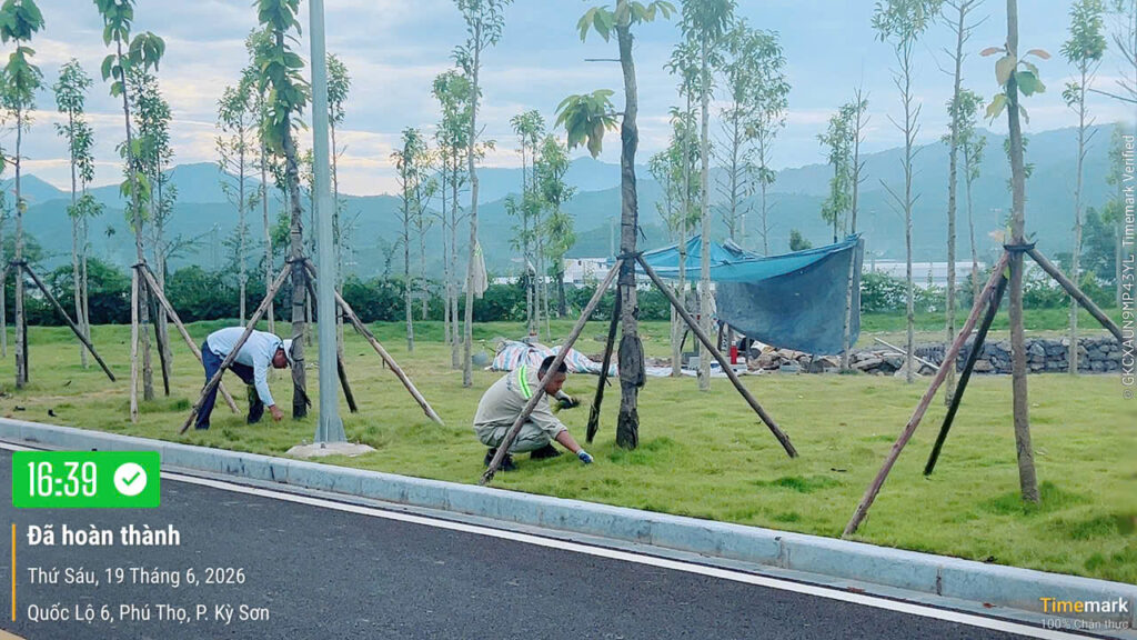 Phong trào “Ngày thứ sáu Xanh – Sạch – Đẹp” – ảnh 22