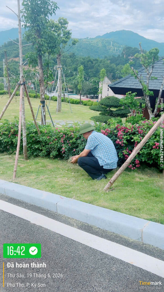 Phong trào “Ngày thứ sáu Xanh – Sạch – Đẹp” – ảnh 28