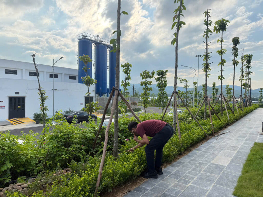 Phong trào “Ngày thứ sáu Xanh – Sạch – Đẹp” – ảnh 30