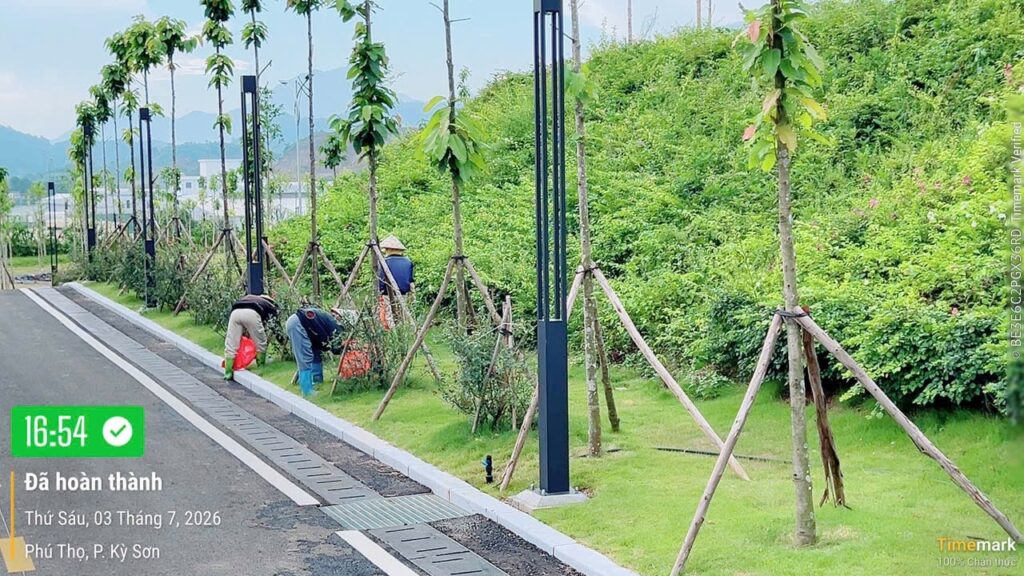 NHÀ MÁY NƯỚC SẠCH HÒA BÌNH – XUÂN MAI PHÁT ĐỘNG PHONG TRÀO “NGÀY THỨ SÁU XANH – SẠCH – ĐẸP” – ảnh 4