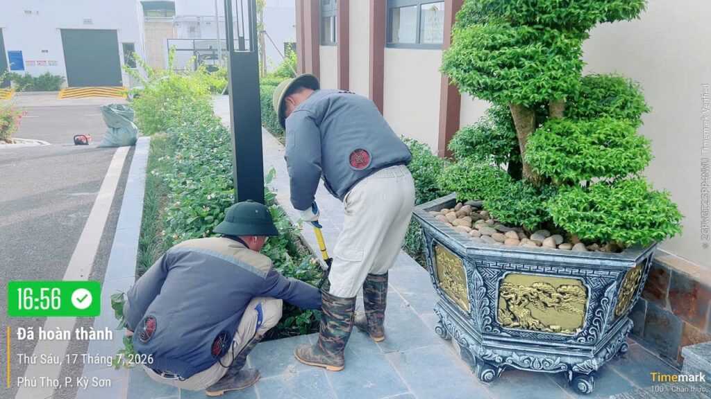 NHÀ MÁY NƯỚC SẠCH HÒA BÌNH – XUÂN MAI PHÁT ĐỘNG PHONG TRÀO “NGÀY THỨ SÁU XANH – SẠCH – ĐẸP” – ảnh 15
