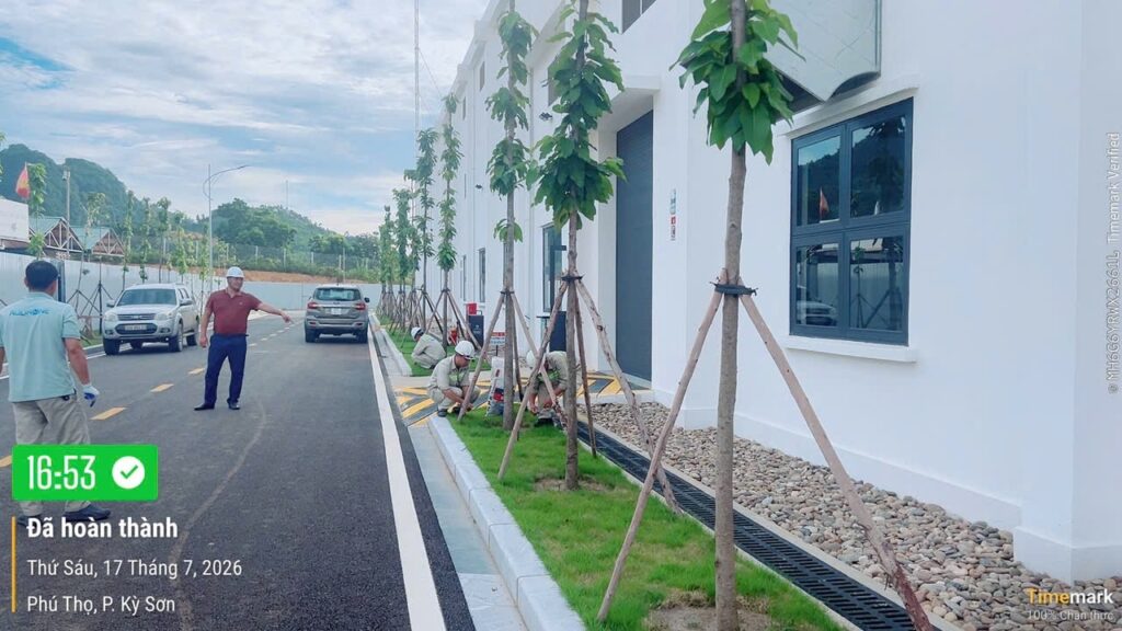 NHÀ MÁY NƯỚC SẠCH HÒA BÌNH – XUÂN MAI PHÁT ĐỘNG PHONG TRÀO “NGÀY THỨ SÁU XANH – SẠCH – ĐẸP” – ảnh 16