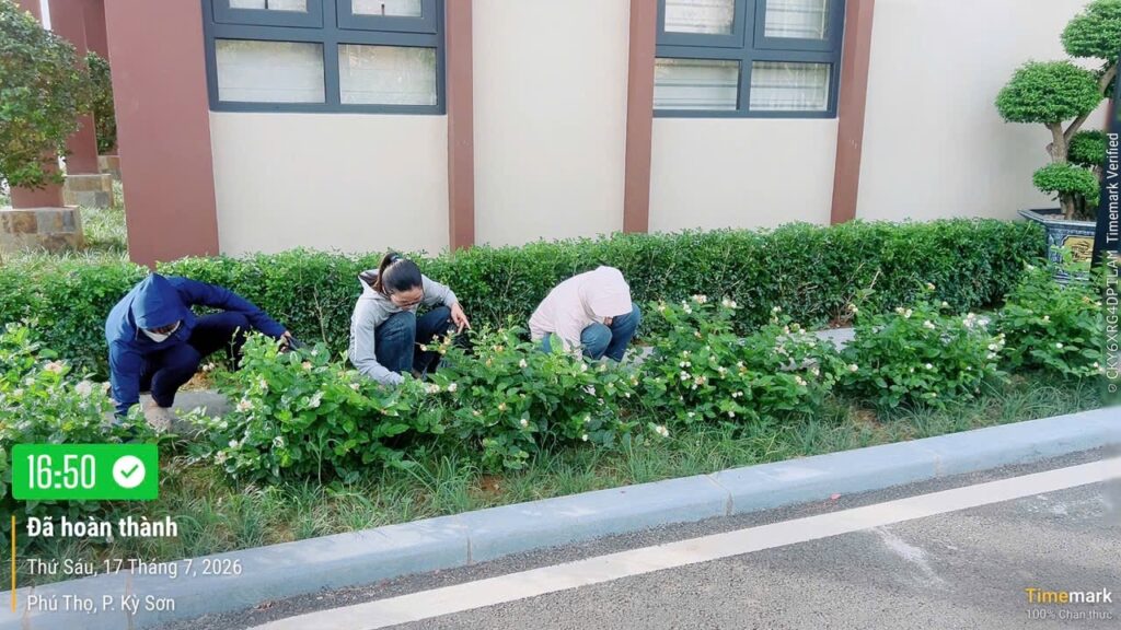 NHÀ MÁY NƯỚC SẠCH HÒA BÌNH – XUÂN MAI PHÁT ĐỘNG PHONG TRÀO “NGÀY THỨ SÁU XANH – SẠCH – ĐẸP” – ảnh 17
