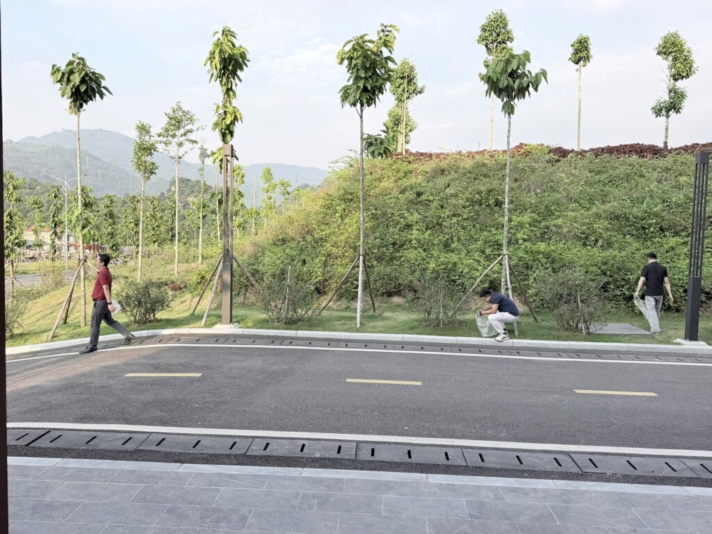 NHÀ MÁY NƯỚC SẠCH HÒA BÌNH – XUÂN MAI PHÁT ĐỘNG PHONG TRÀO “NGÀY THỨ SÁU XANH – SẠCH – ĐẸP” – ảnh 21