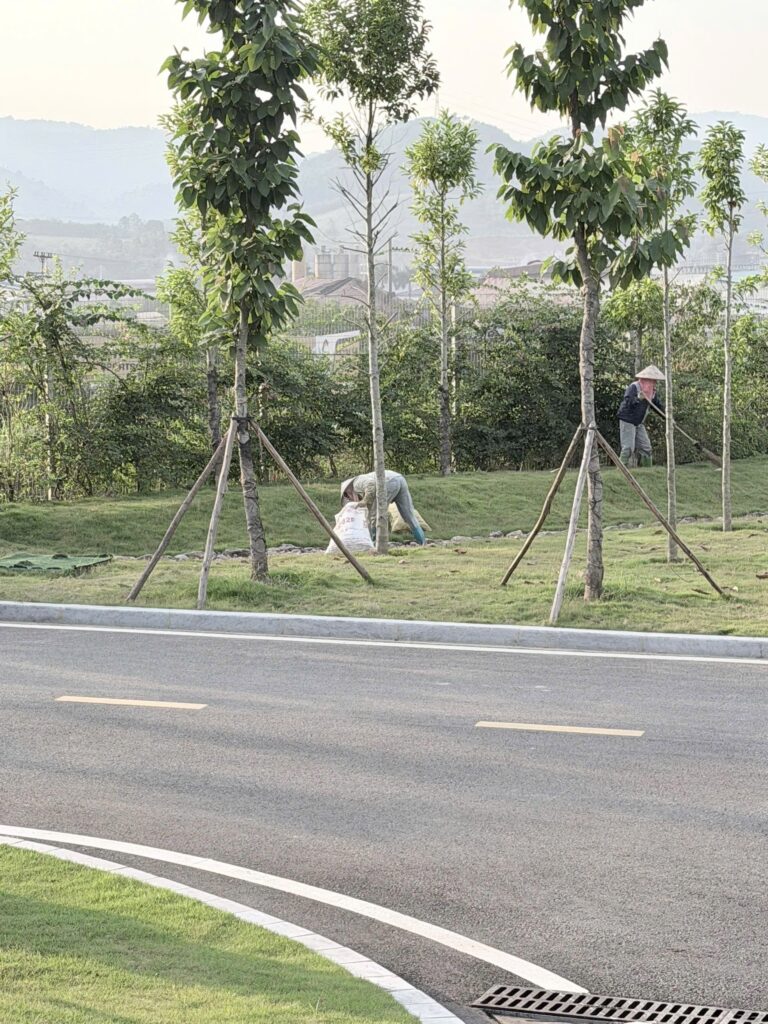 NHÀ MÁY NƯỚC SẠCH HÒA BÌNH – XUÂN MAI PHÁT ĐỘNG PHONG TRÀO “NGÀY THỨ SÁU XANH – SẠCH – ĐẸP” – ảnh 22