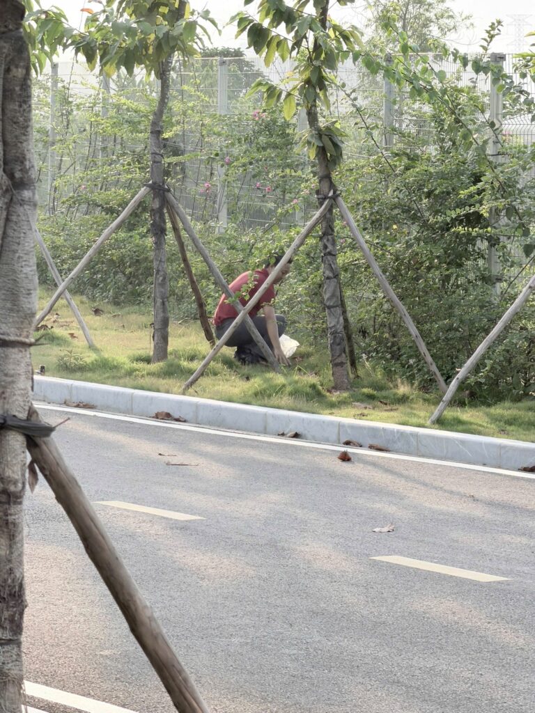 NHÀ MÁY NƯỚC SẠCH HÒA BÌNH – XUÂN MAI PHÁT ĐỘNG PHONG TRÀO “NGÀY THỨ SÁU XANH – SẠCH – ĐẸP” – ảnh 23