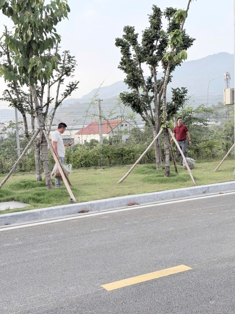 NHÀ MÁY NƯỚC SẠCH HÒA BÌNH – XUÂN MAI PHÁT ĐỘNG PHONG TRÀO “NGÀY THỨ SÁU XANH – SẠCH – ĐẸP” – ảnh 25